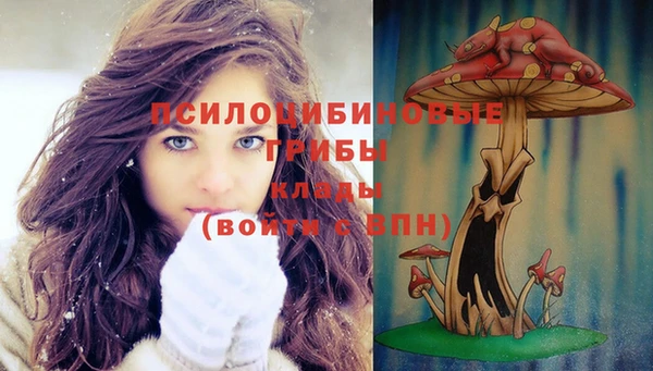 ГАЛЛЮЦИНОГЕННЫЕ ГРИБЫ Бронницы