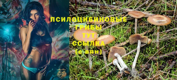 ГАЛЛЮЦИНОГЕННЫЕ ГРИБЫ Бронницы