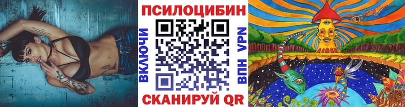 цена наркотик  Курск  OMG   Псилоцибиновые грибы мухоморы 
